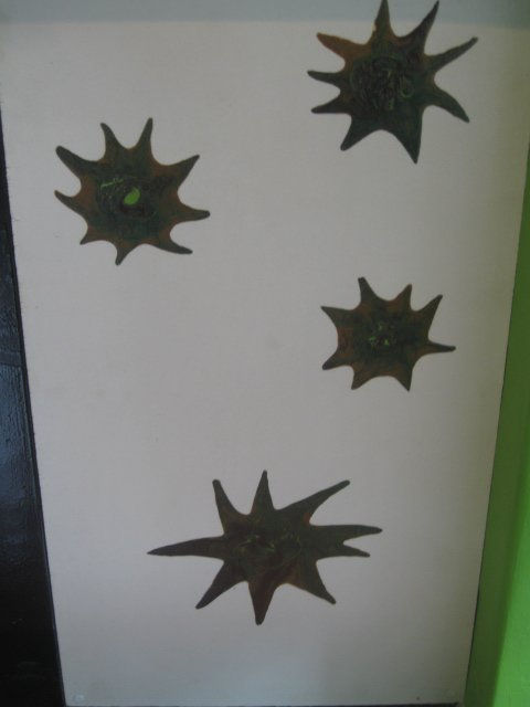las cuatro estrellas