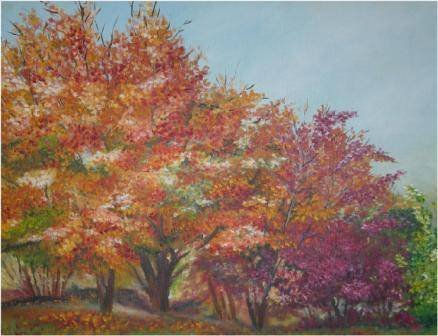 COLORES DE OTOÑO