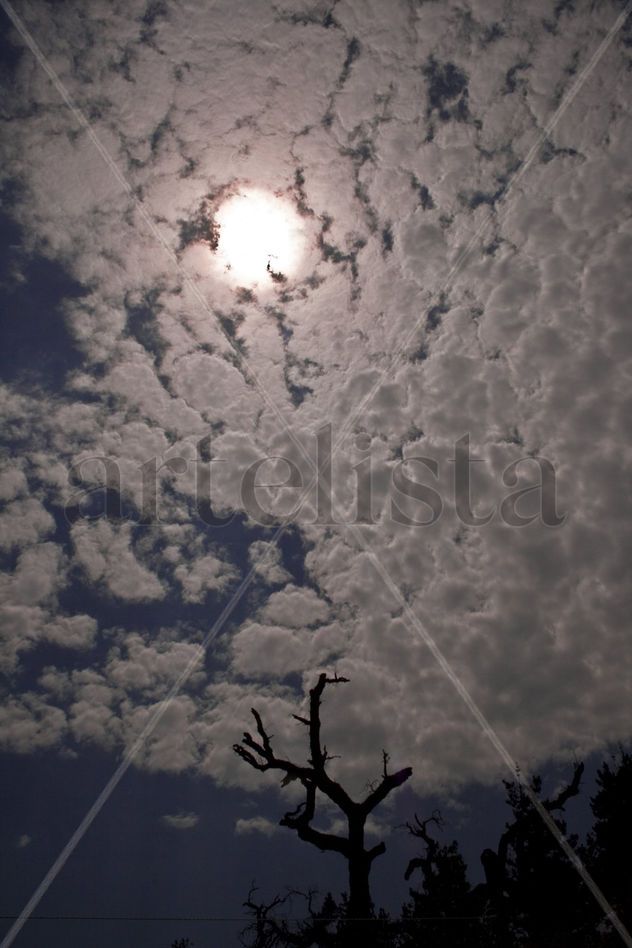 cielos dramáticos 2