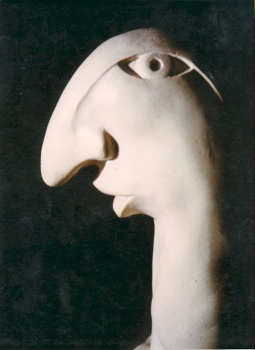NARCISO