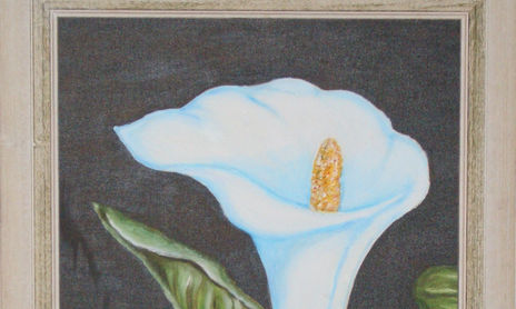 Flores