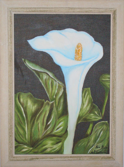 Cala Oil Canvas Floral Painting