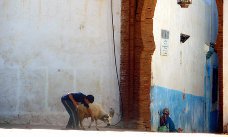 المغرب