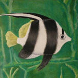 Peces thumbnail 1
