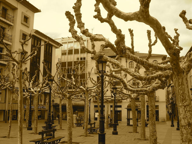 SORIA