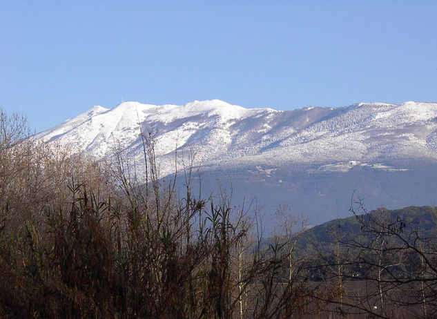 Primeras nevadas Naturaleza Color (Digital)