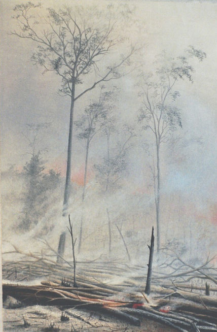 Bosque en llamas
