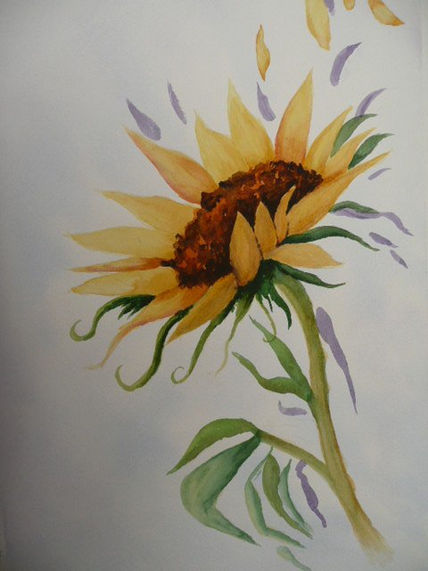Girasol
