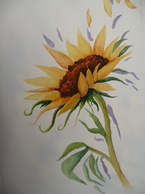 Girasol