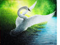 El Cisne