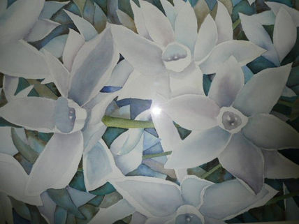 Flores