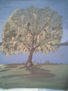 el arbol solitario