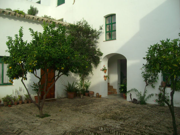 palomar de la breña