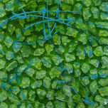 Pintura thumbnail 2
