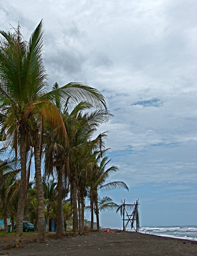 LA PLAYA