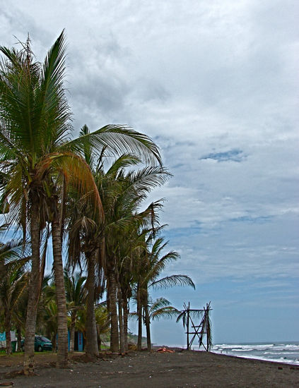 LA PLAYA Nature Color (Digital)