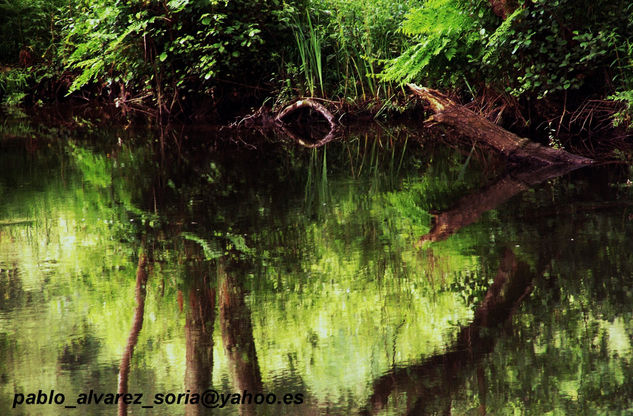 REFLEJOS 