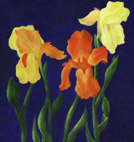 flores Acrylic Others