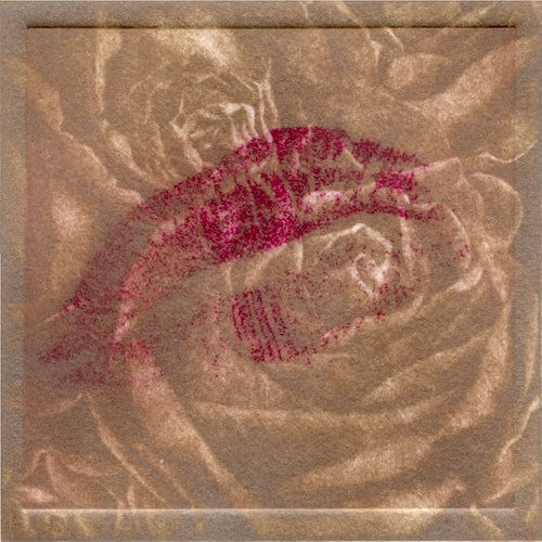 LA CARICIA DE TUS LABIOS