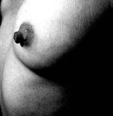 Desnudo2