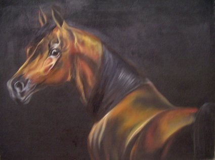 Caballo Arabe 5 Oil Canvas Animals