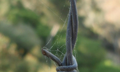 La enfermedad oculta