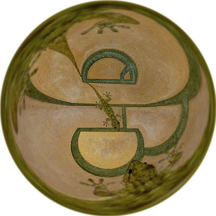 Repeluco