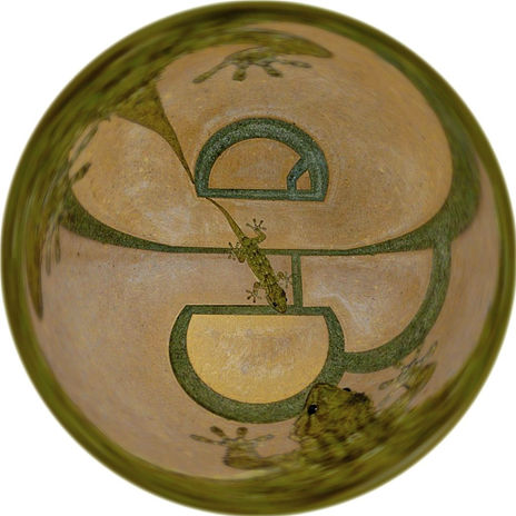 Repeluco