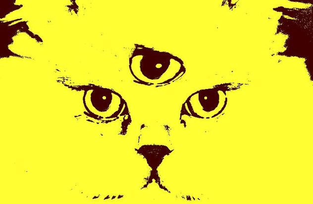 lemon-cat