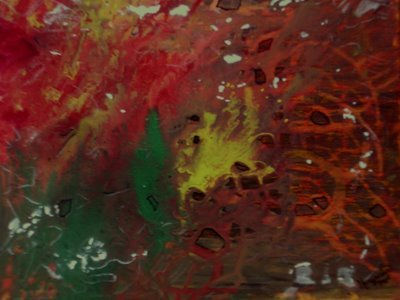 Fogo na floresta