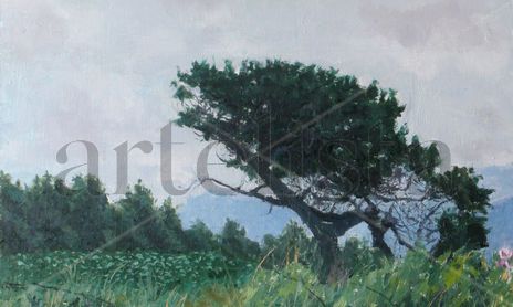 Paisaje rural y urbano