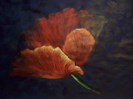 Rojo y negro