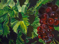 uvas