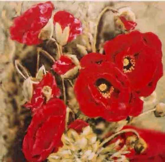 Amapolas Óleo Lienzo Floral