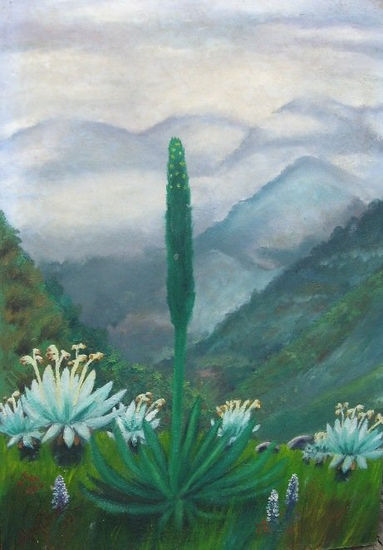 Páramo Oil Canvas Landscaping