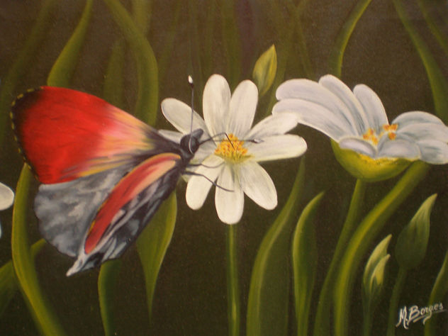 MARIPOSA EN PRIMAVERA I