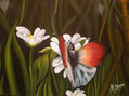 MARIPOSA EN PRIMAVERA II