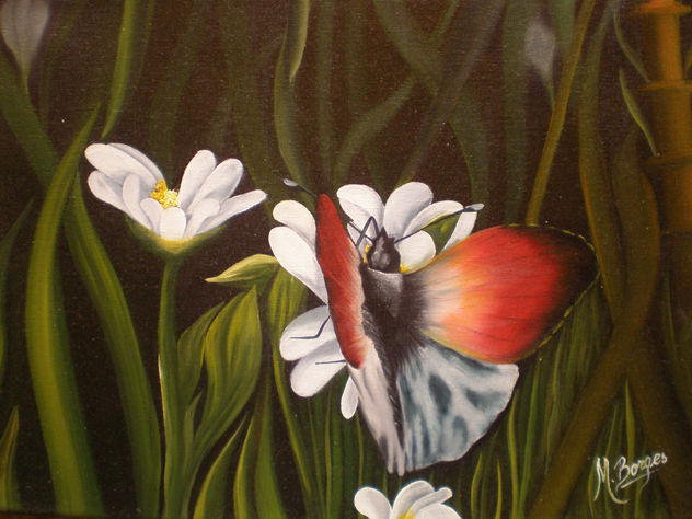 MARIPOSA EN PRIMAVERA II