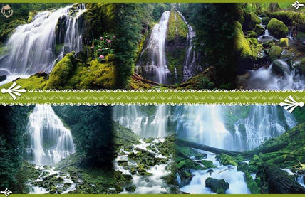 Verde vivo