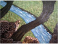 Arbol entre rocas.
