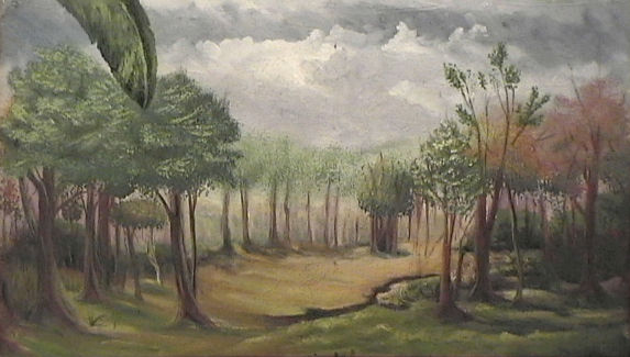 verano planta platano