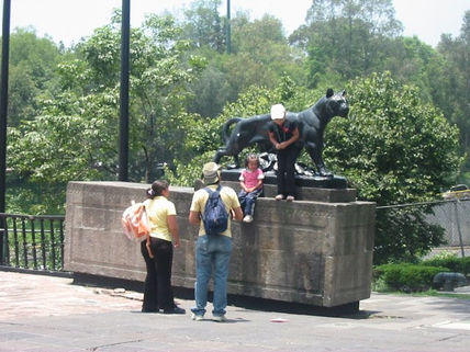 Una foto con el gatito