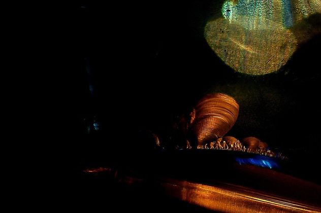 DE VERNUS (2)