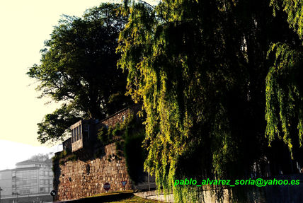 Jardín de san carlos