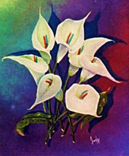 7 alcatraces Oil Panel Floral Painting