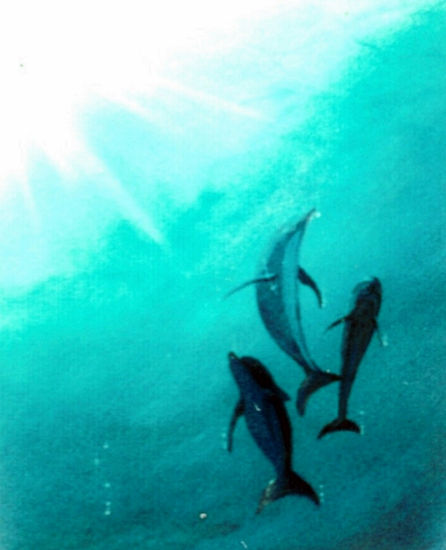 3 delfines Oil Panel Marine Painting