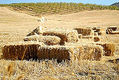 En el campo