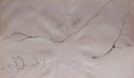 siesta II