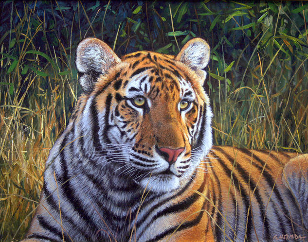 Luces de un nuevo dia Oil Canvas Animals