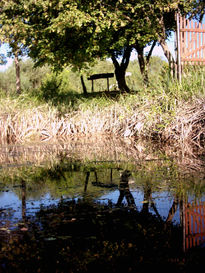 Reflejos